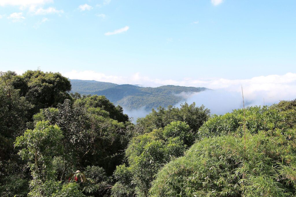 recanto bela vista estrada da graciosa curitiba parana