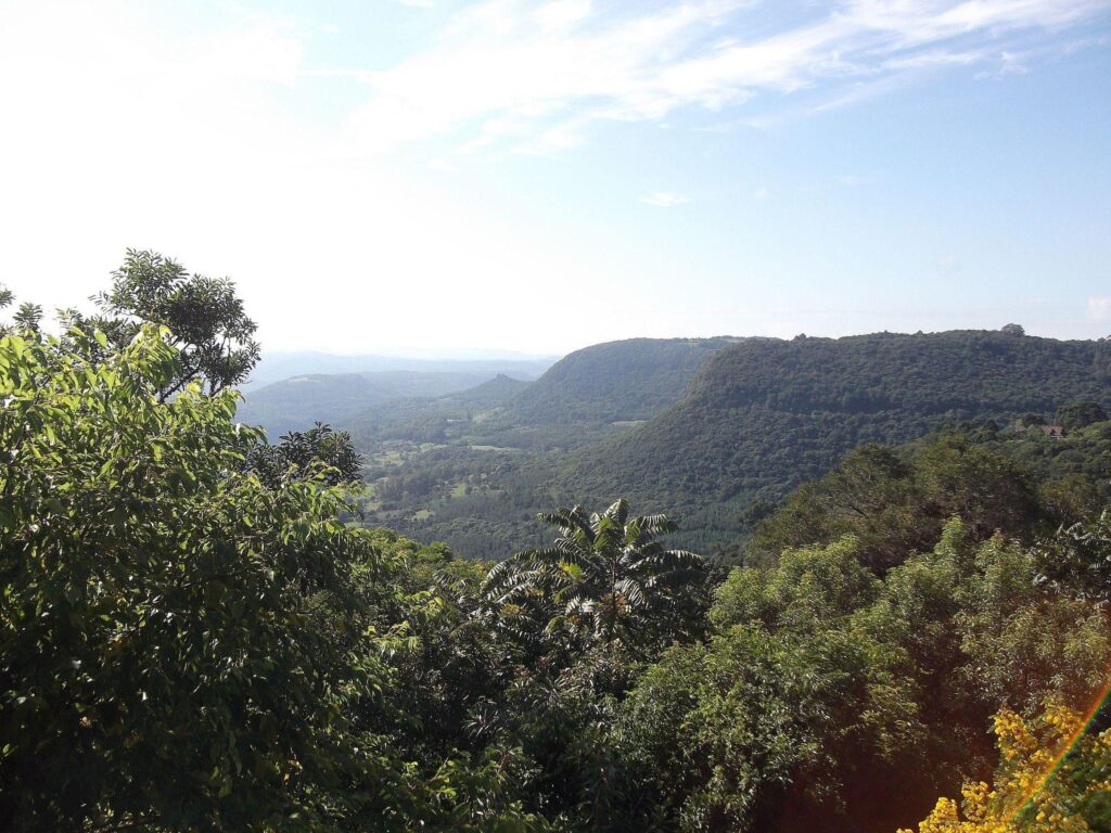 top5-estradas-cenicas-do-brasil-4