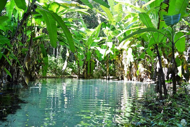 O que fazer no Jalapão, quanto custa e quantos dias ficar?
