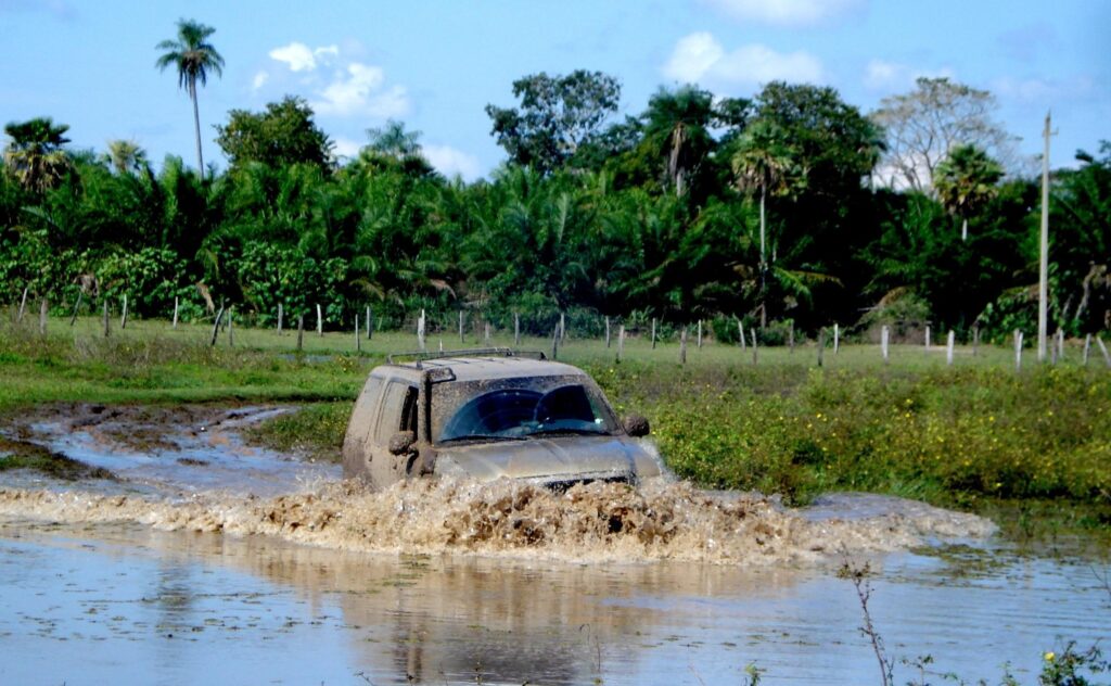roteiro viagem de carro pelo pantanal  mato grosso do sul