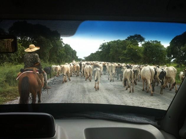 roteiro de carro pelas estradas de terra pantanal mato grosso do sul