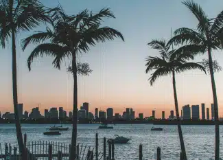 coqueiros ao por do sol em uma praia em orlando