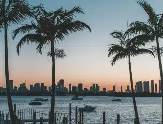 coqueiros ao por do sol em uma praia em orlando