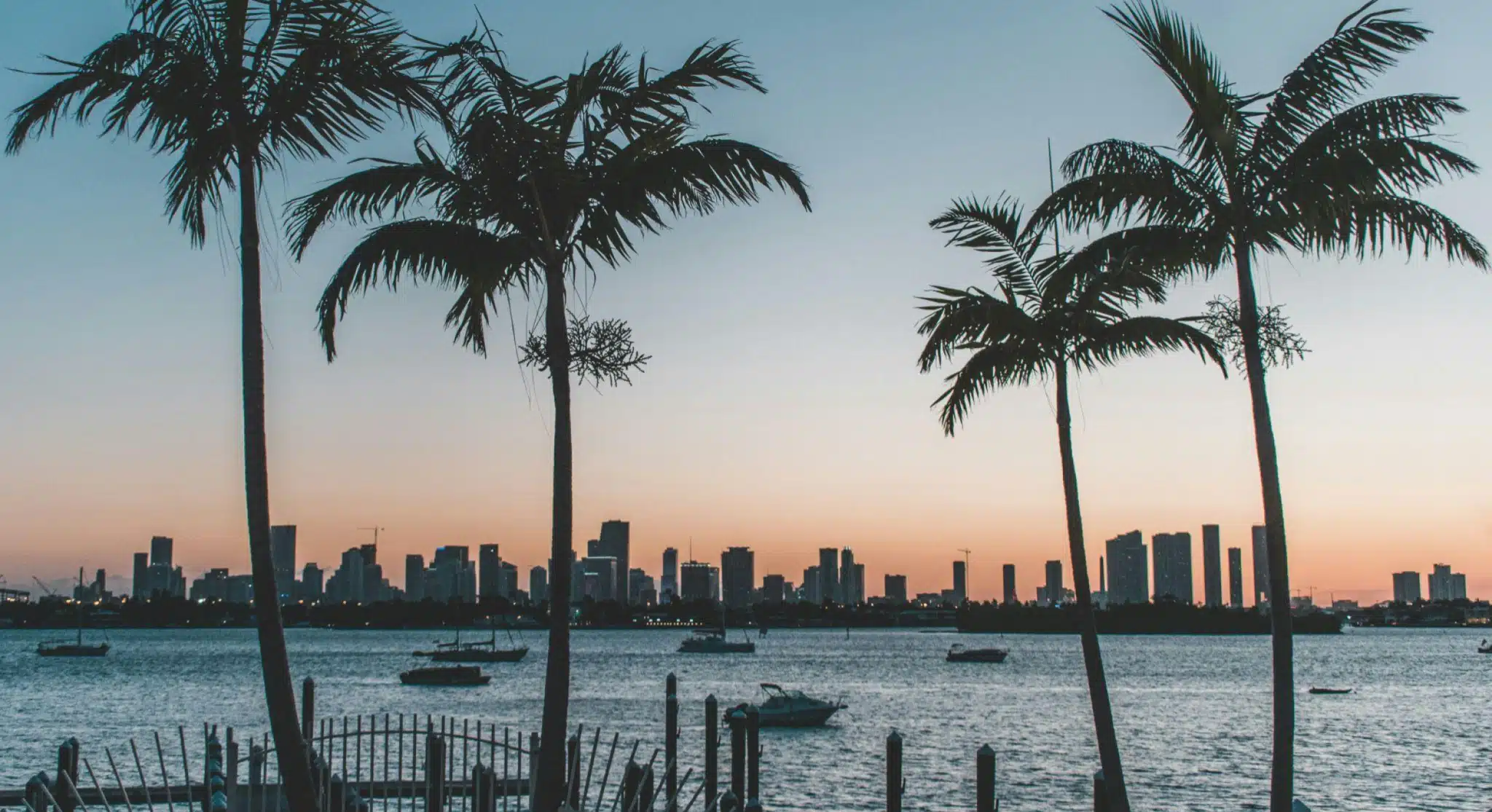 coqueiros ao por do sol em uma praia em orlando