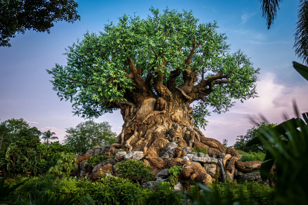 Grande árvore centenária de tronco retorcido e raízes expostas em meio a vegetação tropical, com pedras ao redor e céu azul ao fundo.