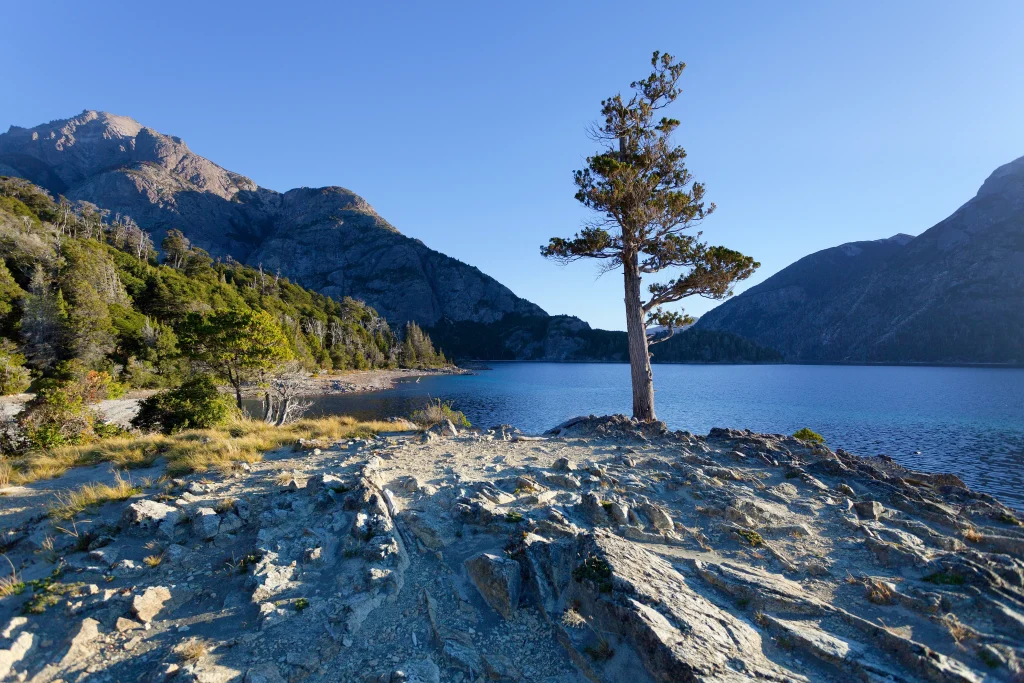 Foto del Lago Escondido, el tercero que vas a encontrar en el camino de los 7 lagos en auto, con un árbol al centro y dos montañas al fondo.