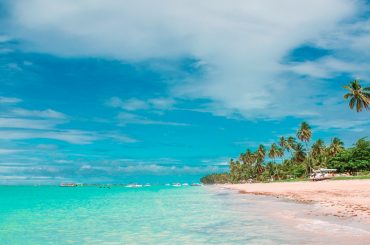praia com coqueiros e céu azul em maceió