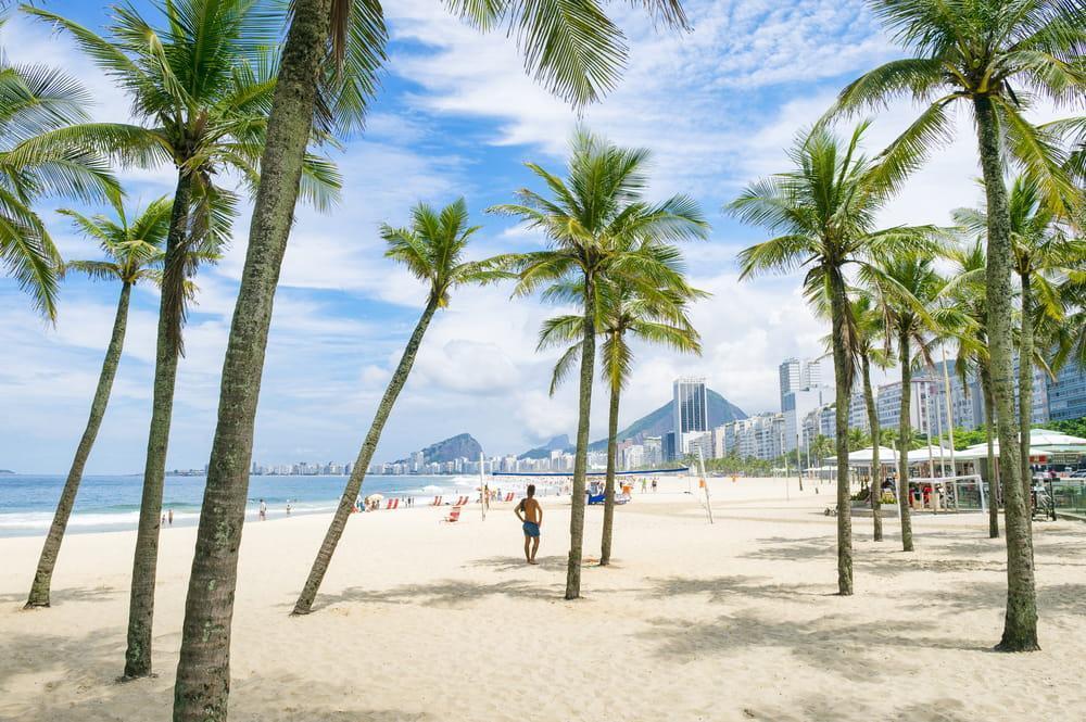 man standing between palm trees copacabana beach