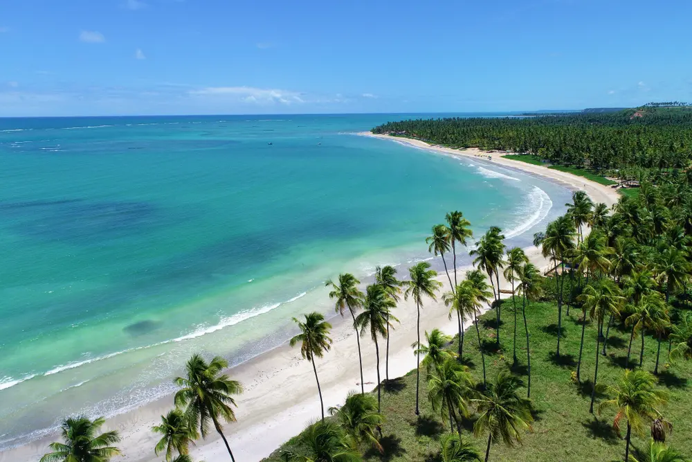 vista da praia de são Miguel dos Milgres Alagoas. A direita o mar verde esmeralda e sua areia branca, e a esquerda uma grande faixa de mata nativa com muitas palmeiras
