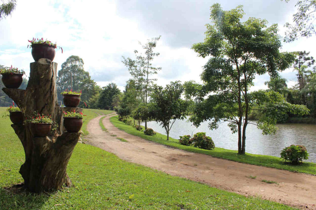 restaurante vô joão curitiba