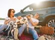 couple hugging a dog in front of a car