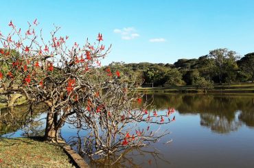 Vista do Parque Monsenhor Emilio Salem em Campinas, interior de São Paulo