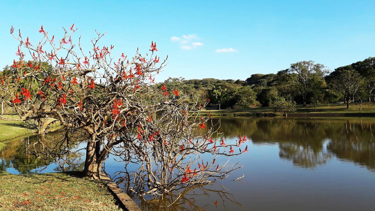 Vista do Parque Monsenhor Emilio Salem em Campinas, interior de São Paulo