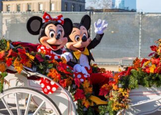 Disney World
