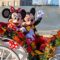 Disney World