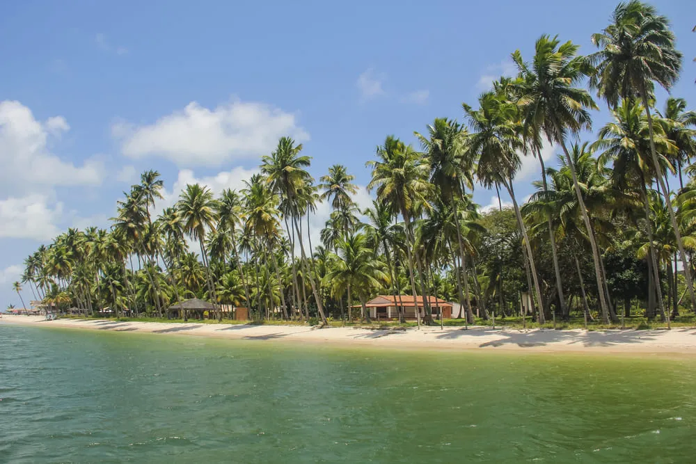 Foto de uma praia do Brasil, com os coqueiros ao fundo, o céu azul e o mar verde bem calmo. A faixa de areia é curta.
