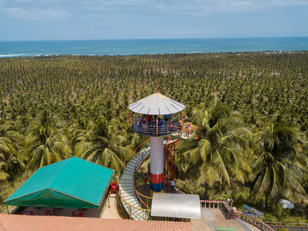 Praia do Gunga, localizada em Alagoas. A praia é repleta de coqueiros, tem um mirante ao centro e pessoas observando a paisagem.