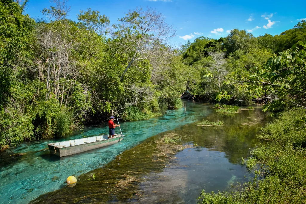 Rio Sucuri, em Bonito. Na imagem, o rio de águas cristalinas cercado de muita mata e vegetação, e um homem navegando um barco de madeira.