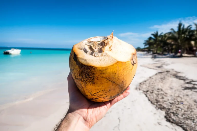 Turista con un coco en Hawai