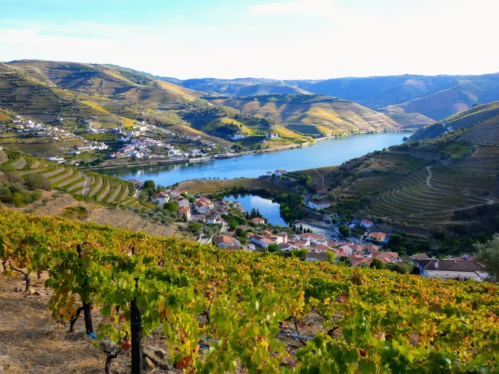 Aerial view of the Douro Valley, Porto, Portugal.