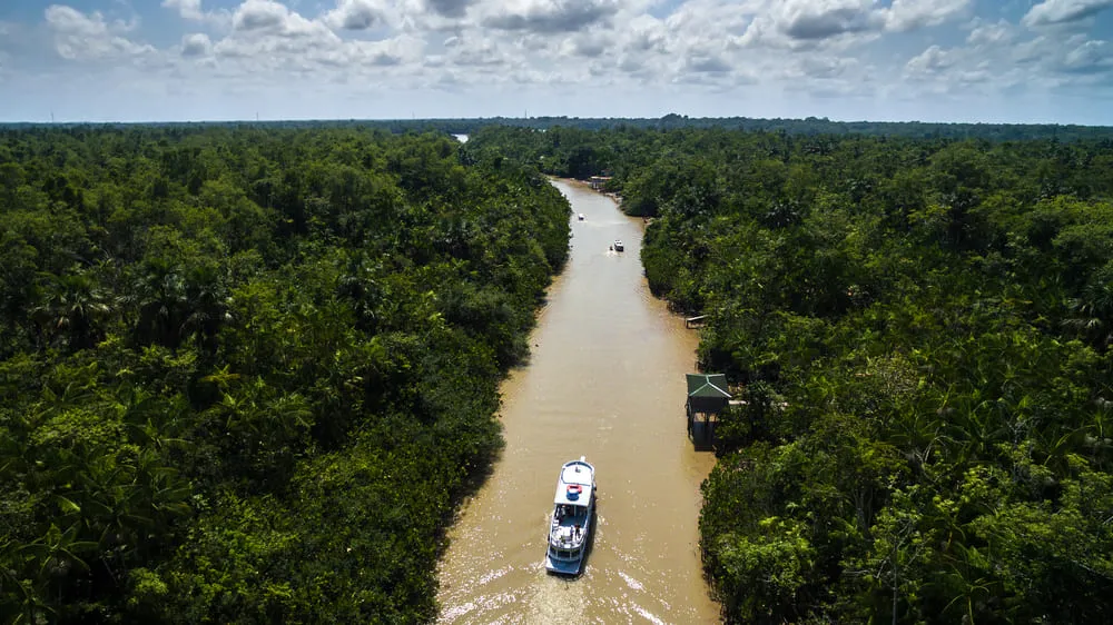 Foto do Rio Amazonas em Belém, no Pará. Ao centro do rio é possível ver um barco navegando em uma água marrom e repleta de vegetação em volta.