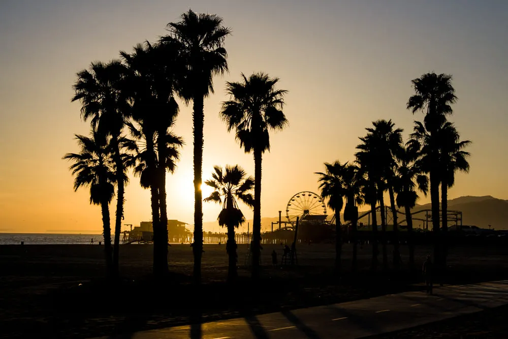 Foto da praia de Santa Monica durante o por do sol. Os coqueiros ficam a frente e a montanha russa ao fundo.
