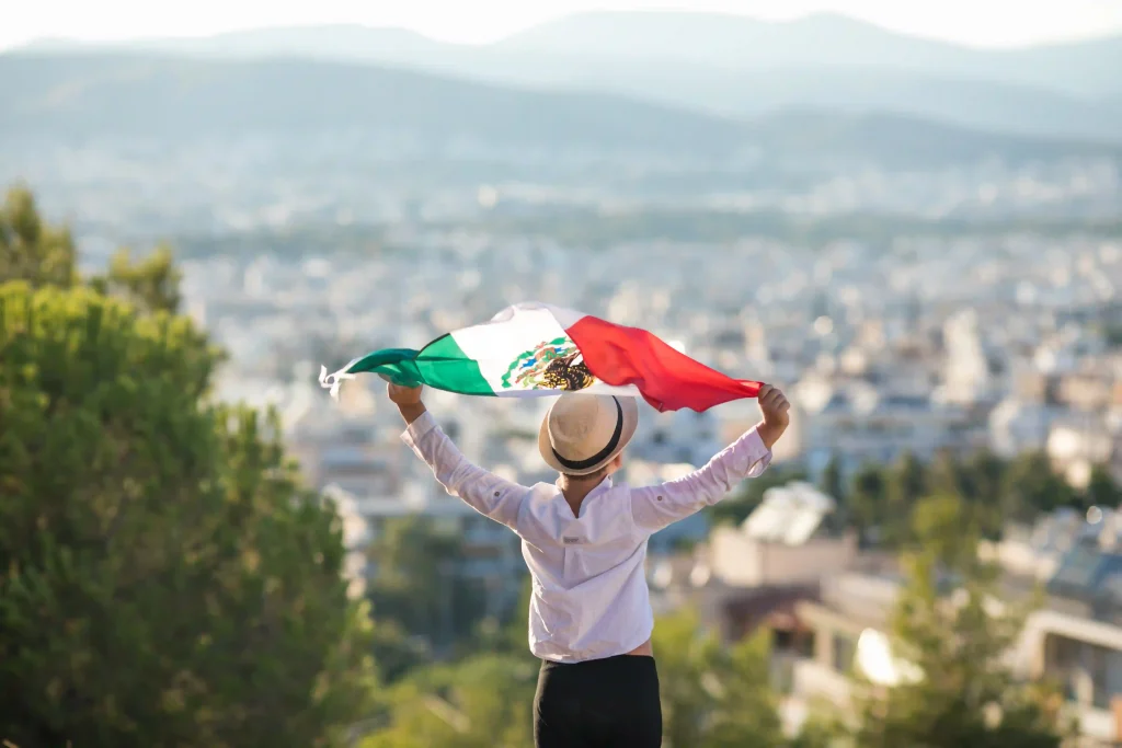 Niño sujetando la bandera de México y de fondo un paisaje desenfocado