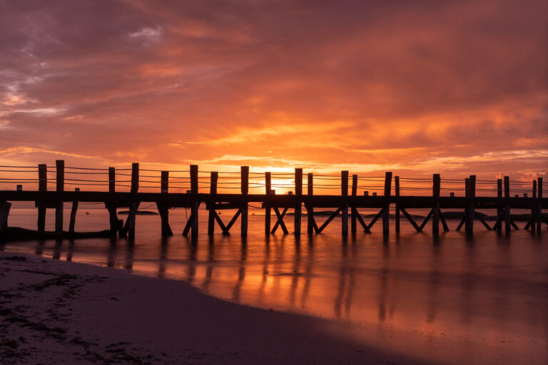 que hacer en playa del carmen