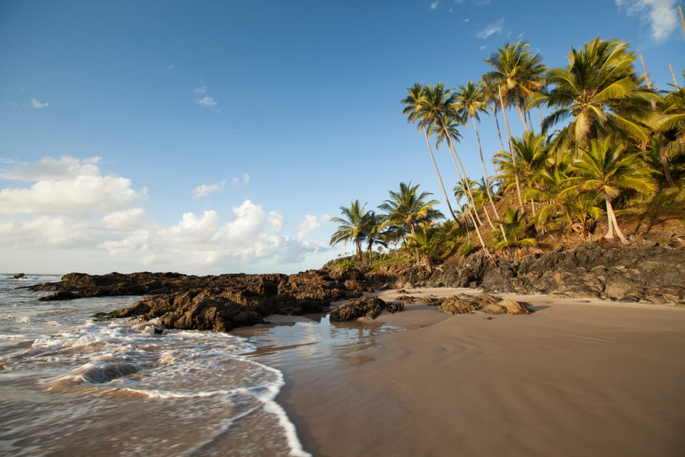 Foto da praia de Itacaré, na Bahia. As árvores são bem altas e verde, a faixa de areia é extensa e o mar está calmo.