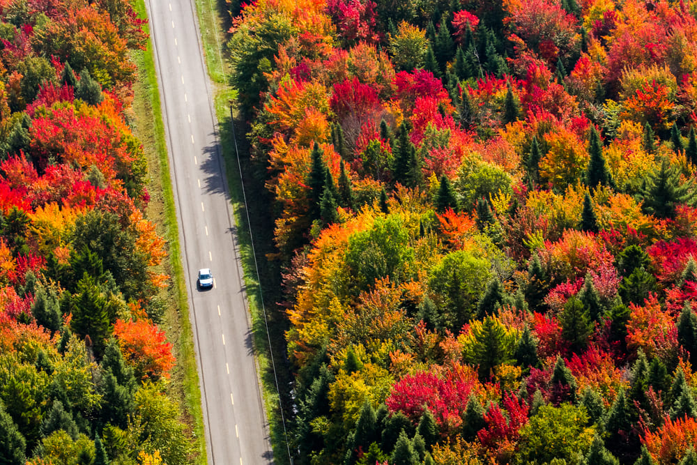 Foto de uma estrada do Canadá repleta de vegetação colorida ao redor, com um carro no centro. A foto é aérea.