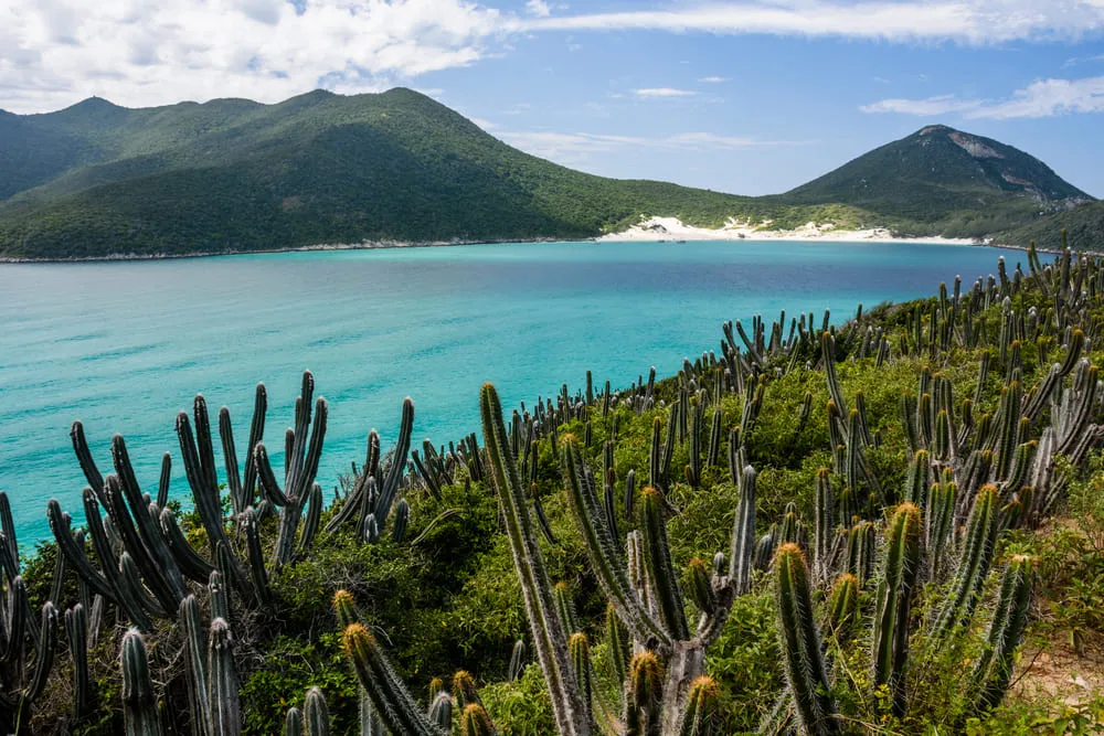 Foto de Arraial do Cabo no Rio de Janeiro. O mar é bem azul com a vegetação verde em volta. Ainda é possível ver uma sequência de cactos em meio a natureza.
