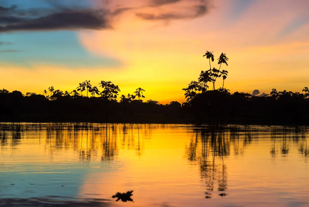 Foto de um pôr do sol da Amazonia. As cores do céu mesclam entre azul, amarelo e rosa.