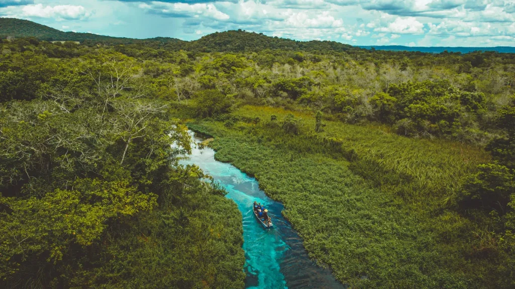 Foto de um dos rios da região de Bonito, no Mato Grosso do Sul, com a vegetação super verde ao redor de um rio super azul e com águas cristalinas.