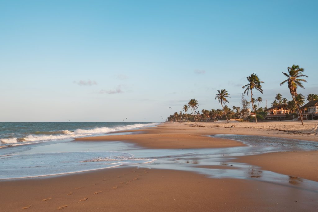 Foto de uma praia do Nordeste com céu azul e a praia com as ondas batendo e os coqueiros na areia.