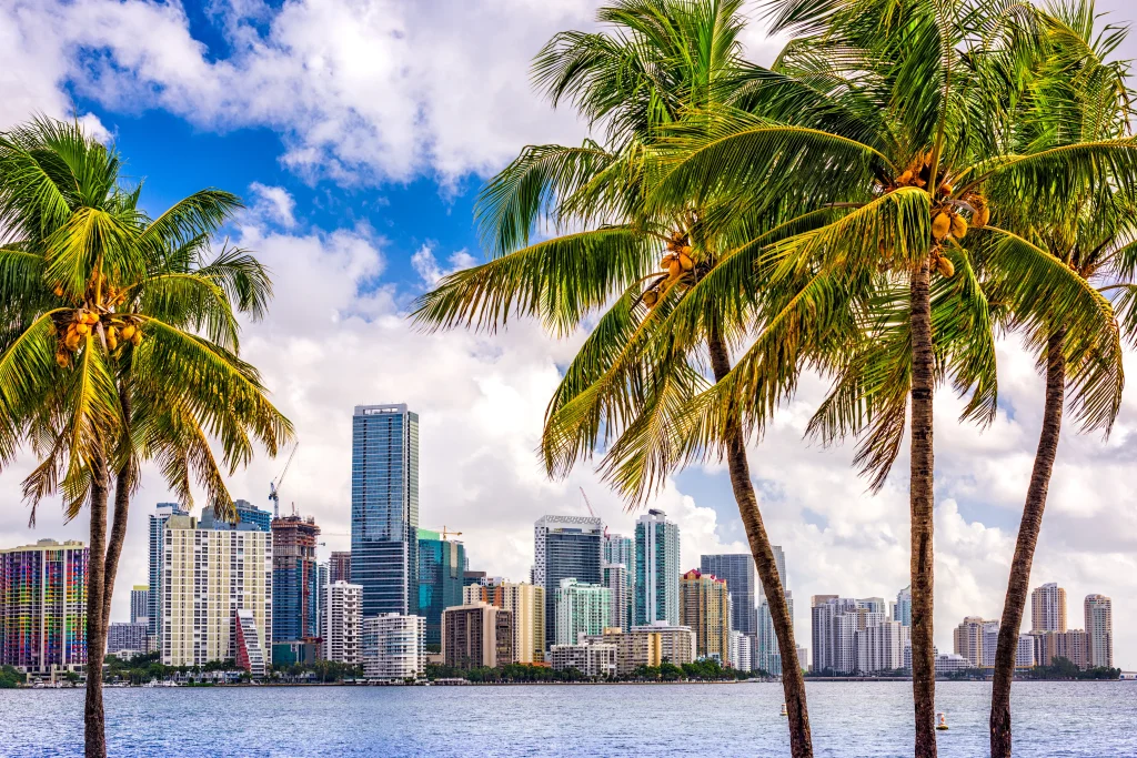 Picture of Miami's skyline.