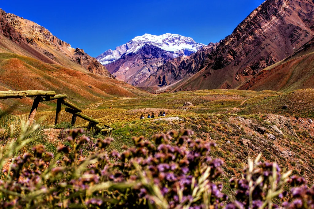 Paisaje de Mendoza con personas caminando en medio a la vegetación y montañas al fondo.