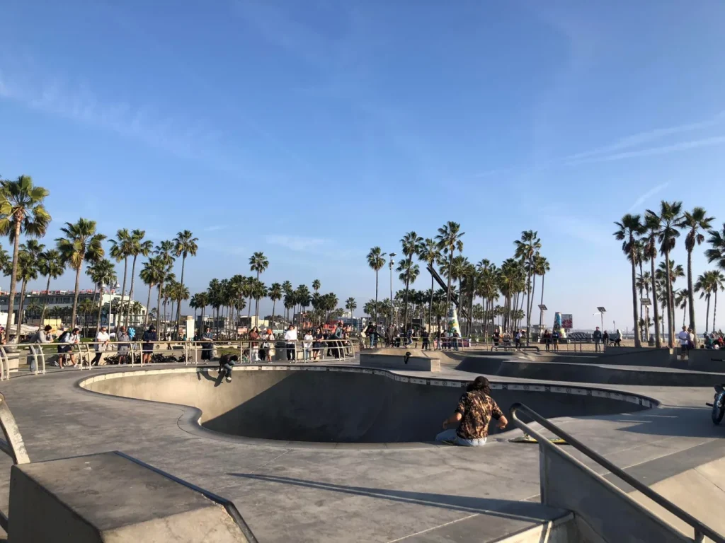 Venice Beach skate bowl under the California sun.