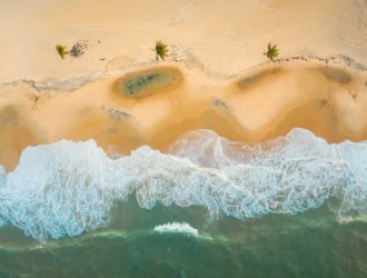 Foto de uma das praias de Fortaleza, Ceará, no Nordeste do Brasil. A faixa de areia é extensa e na cor bege, com coqueiros posicionados quase que simetricamente. Em contraste, temos o mar azul e suas ondas brancas chegando a costa.