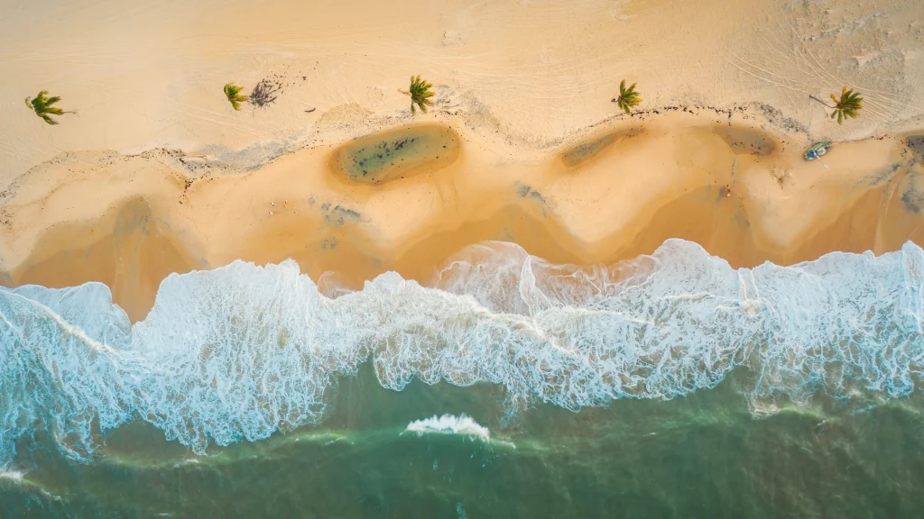 Foto de uma das praias de Fortaleza, Ceará, no Nordeste do Brasil. A faixa de areia é extensa e na cor bege, com coqueiros posicionados quase que simetricamente. Em contraste, temos o mar azul e suas ondas brancas chegando a costa.