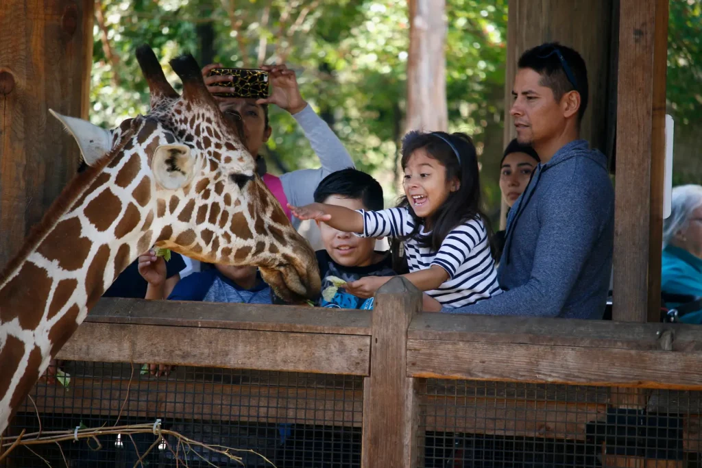 Foto de niños mirando a una jirafa en el Zoológico de Dallas, ilustrando una de las mejores cosas que hacer en Dallas con ninõs.