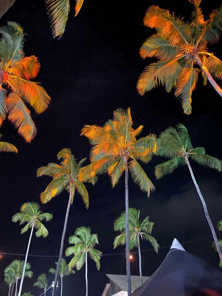 Foto noturna que mostra os coqueiros super altos de Porto de Galinhas. O céu está bem escuro. Os coqueiros são verdes com reflexo de luzes.
