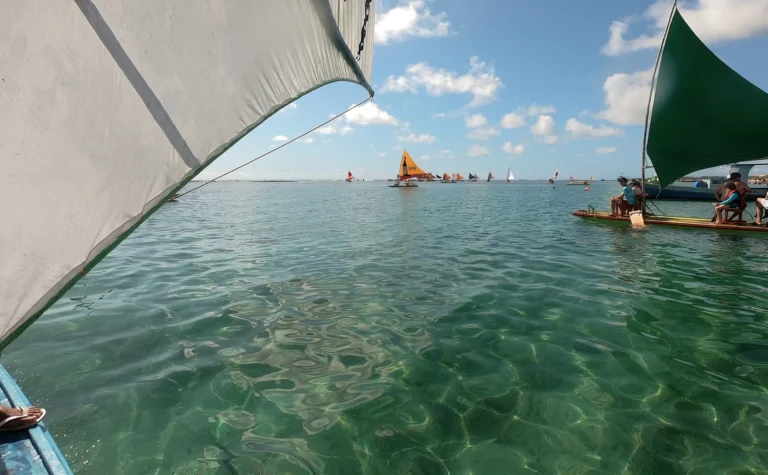 Foto do mar bem verde cristalino com as jangadas sobre ele. Há pessoas nas jangadas e as jangadas são coloridas. O céu está bem azul.