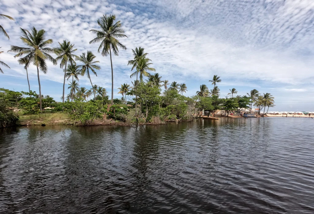 Foto de uma área de mangue de Pernambuco. É possível ver a vegetação bem verde com seus coqueiros e o céu bem azul. Além disso, há o rio banhando o mangue.