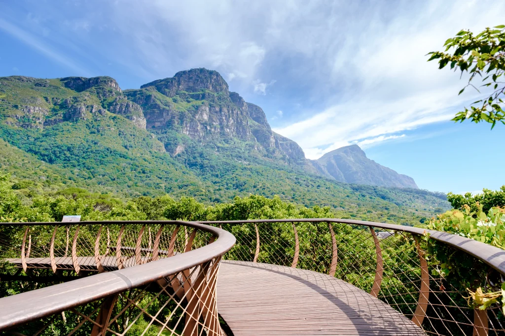 Uma ponte do jardim botânico na Cidade do Cabo na África do Sul