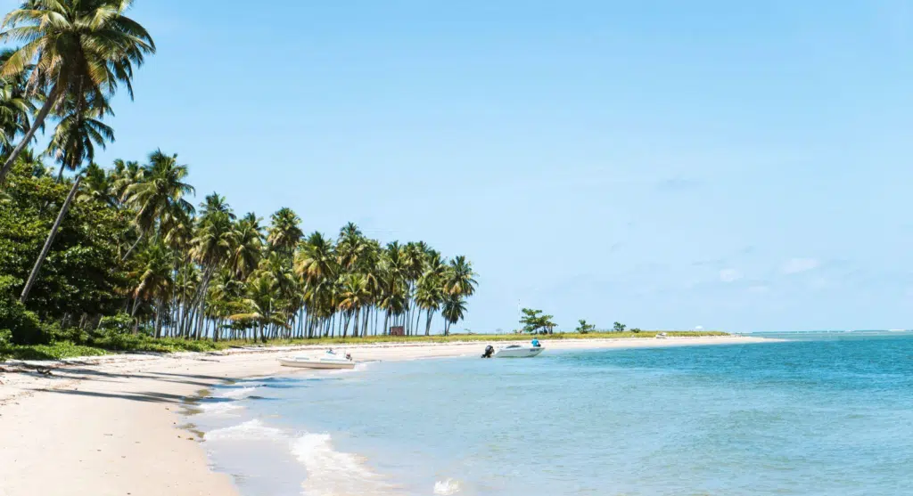 praia de carneiros no brasil