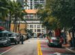 rua arborizada em miami beach, com carros e pessoas