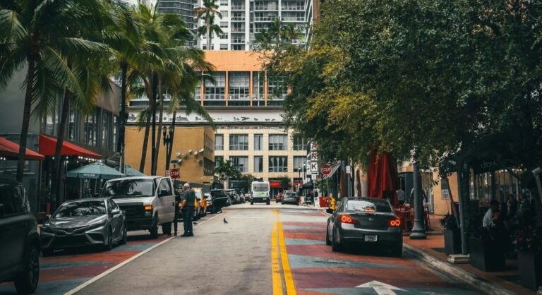 rua arborizada em miami beach, com carros e pessoas