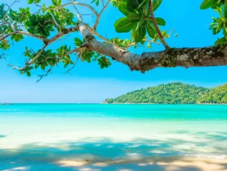 uma água cristalina de uma praia com um tronco de árvore aparecendo e uma montanha ao fundo