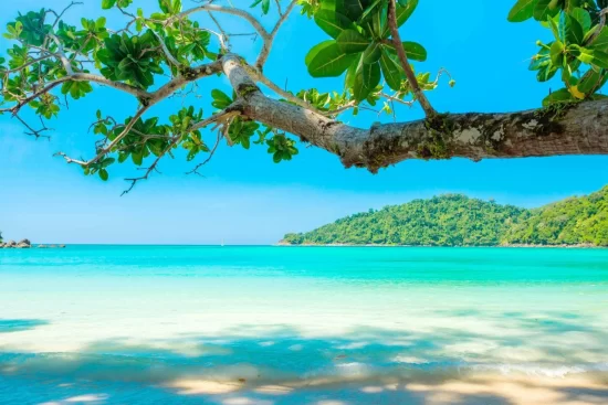 uma água cristalina de uma praia com um tronco de árvore aparecendo e uma montanha ao fundo