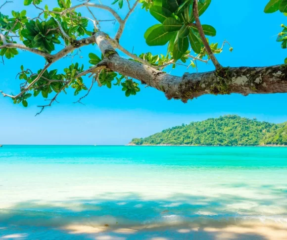 uma água cristalina de uma praia com um tronco de árvore aparecendo e uma montanha ao fundo